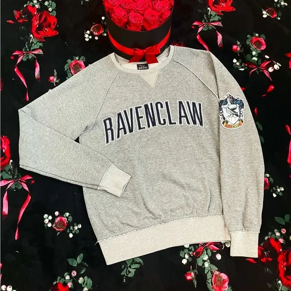 HARRY POTTER RAVENCLAW Hoodie, Rare Find, Size Small - Picture 3 of 4